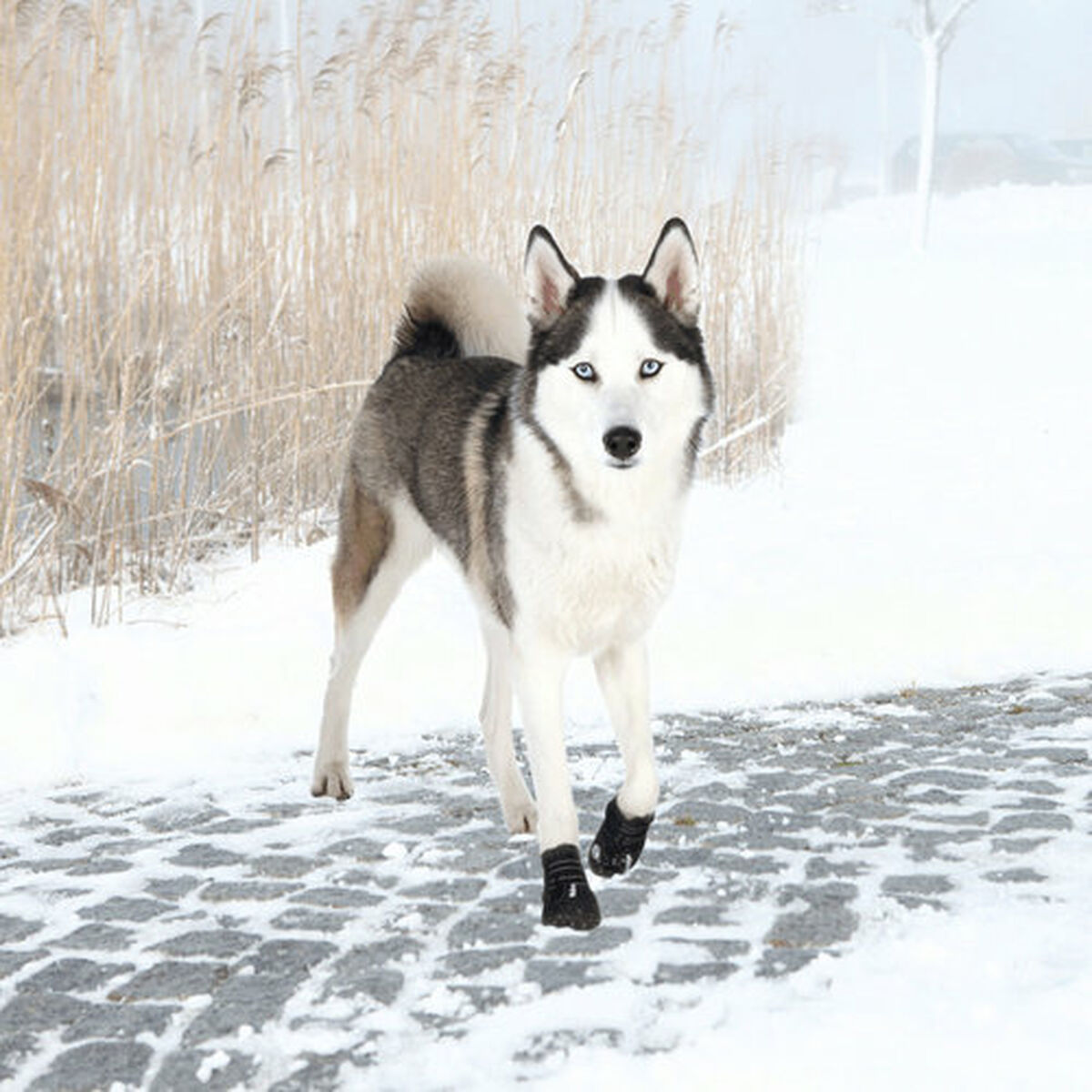 Stiefel Trixie